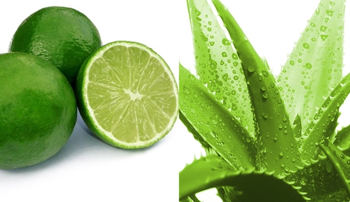 TÁC DỤNG CỦA NHA ĐAM VỚI SỨC KHỎE VÀ SẮC ĐẸP